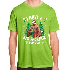 Christmas I Have A Big Package For You Naughty Big Black Guy Adult ChromaSoft Performance T-Shirt