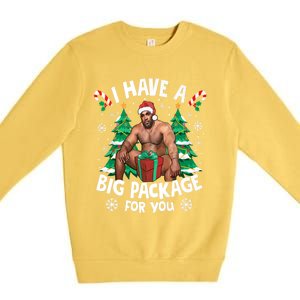 Christmas I Have A Big Package For You Naughty Big Black Guy Premium Crewneck Sweatshirt