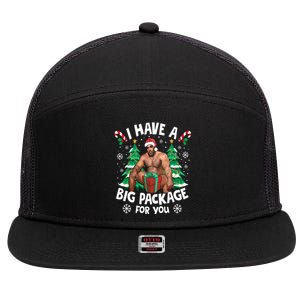 Christmas I Have A Big Package For You Naughty Big Black Guy 7 Panel Mesh Trucker Snapback Hat