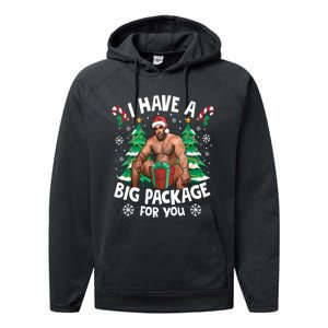 Christmas I Have A Big Package For You Naughty Big Black Guy Performance Fleece Hoodie