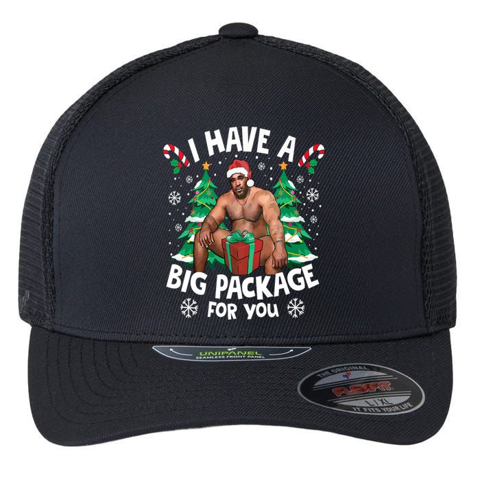 Christmas I Have A Big Package For You Naughty Big Black Guy Flexfit Unipanel Trucker Cap