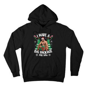 Christmas I Have A Big Package For You Naughty Big Black Guy Hoodie