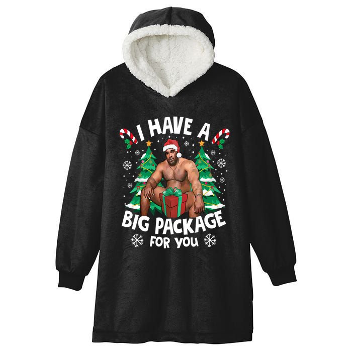 Christmas I Have A Big Package For You Naughty Big Black Guy Hooded Wearable Blanket