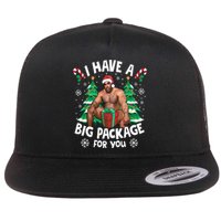 Christmas I Have A Big Package For You Naughty Big Black Guy Flat Bill Trucker Hat