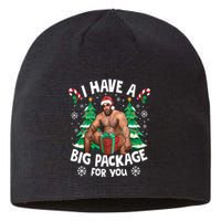 Christmas I Have A Big Package For You Naughty Big Black Guy Sustainable Beanie