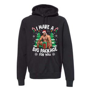 Christmas I Have A Big Package For You Naughty Big Black Guy Premium Hoodie