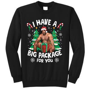 Christmas I Have A Big Package For You Naughty Big Black Guy Tall Sweatshirt