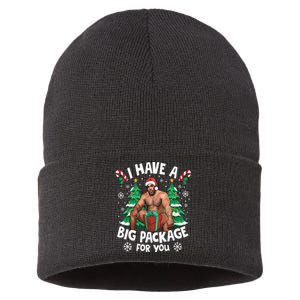 Christmas I Have A Big Package For You Naughty Big Black Guy Sustainable Knit Beanie