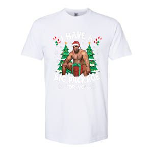 Christmas I Have A Big Package For You Naughty Big Black Guy Softstyle CVC T-Shirt