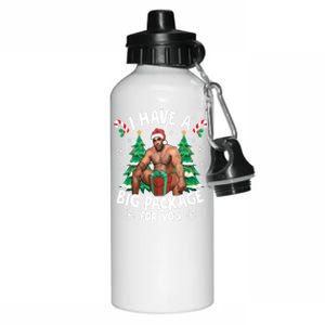 Christmas I Have A Big Package For You Naughty Big Black Guy Aluminum Water Bottle