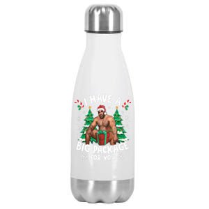 Christmas I Have A Big Package For You Naughty Big Black Guy Stainless Steel Insulated Water Bottle