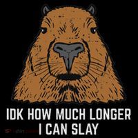 Capybara Idk How Much I Can Slay Capy Rodent Women Tall T-Shirt