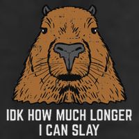 Capybara Idk How Much I Can Slay Capy Rodent Women Adult Drive Performance Visor