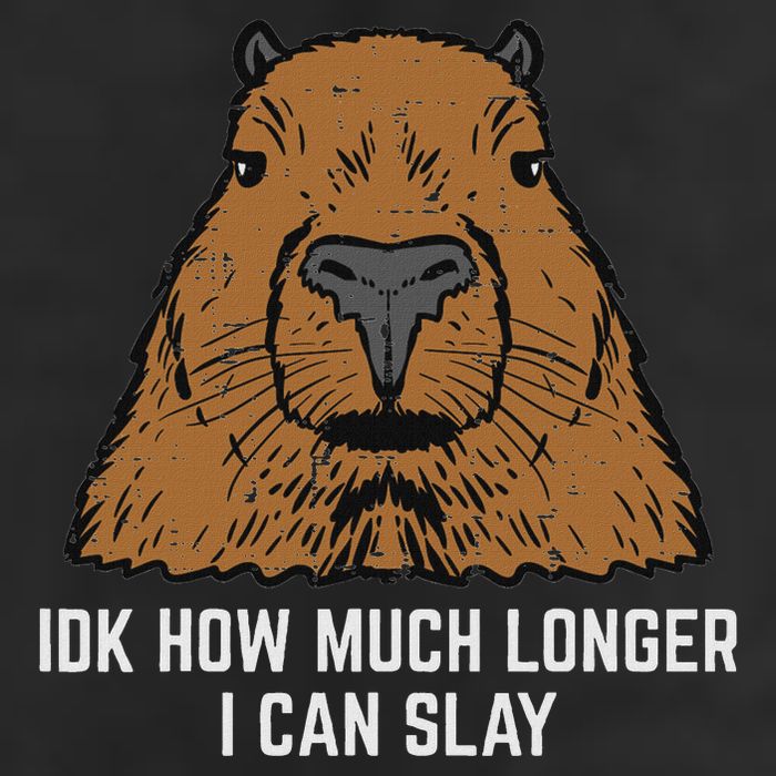 Capybara Idk How Much I Can Slay Capy Rodent Women Adult Drive Performance Visor