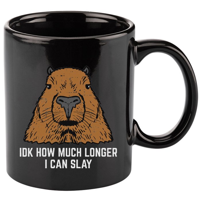 Capybara Idk How Much I Can Slay Capy Rodent Women 11oz C Handle Ceramic Mug