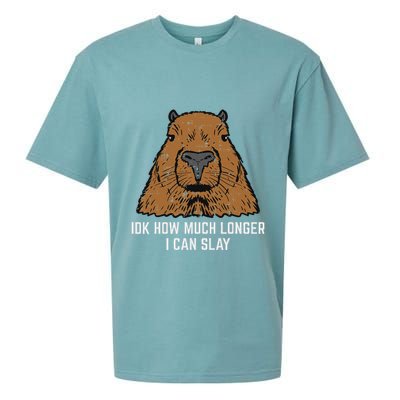 Capybara Idk How Much I Can Slay Capy Rodent Women Sueded Cloud Jersey T-Shirt