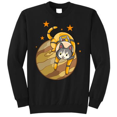 Cat In Jupiter Sweatshirt