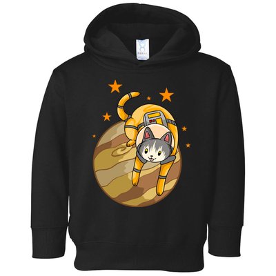 Cat In Jupiter Toddler Hoodie