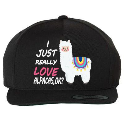 Cute I Just Really Like Alpacas Ok Funny Alpaca Wool Snapback Cap