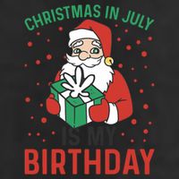 Christmas In July Is My Birthday Santa Summer Holiday 7 Panel Mesh Trucker Snapback Hat