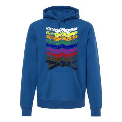 Cool Illustrated Karate Belt Colors Martial Arts Premium Hoodie