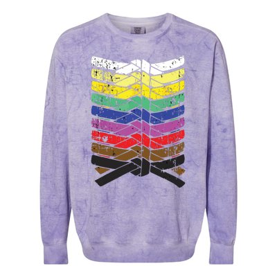 Cool Illustrated Karate Belt Colors Colorblast Crewneck Sweatshirt