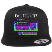 Can I Lick It Periodic Table Teacher Student Flat Bill Trucker Hat