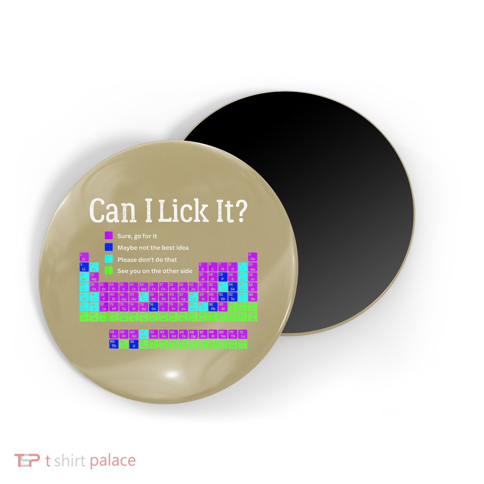 Can I Lick It Periodic Table Teacher Student Magnet