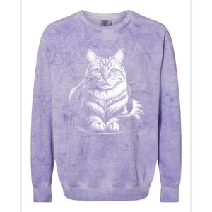 Cat In Lying Pose As Elegant Black And White Portrait Meaningful Gift Colorblast Crewneck Sweatshirt