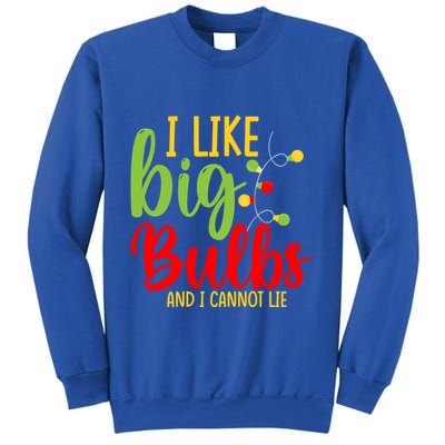 Cute I Like Big Bulbs And I Cannot Lie Christmas Outfit Funny Gift Sweatshirt