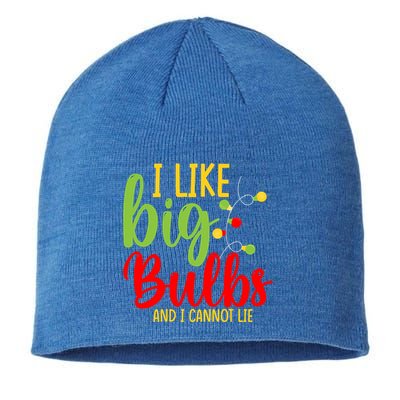 Cute I Like Big Bulbs And I Cannot Lie Christmas Outfit Funny Gift Sustainable Beanie