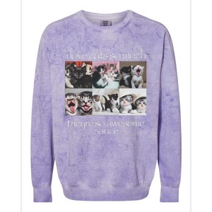 Cat I Love Cats So Much They Are So Awesome Colorblast Crewneck Sweatshirt