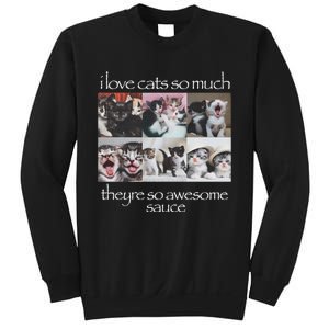 Cat I Love Cats So Much They Are So Awesome Sweatshirt