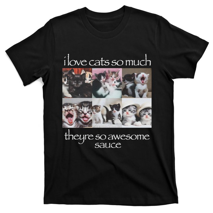 Cat I Love Cats So Much They Are So Awesome T-Shirt