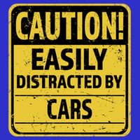 Caution I Like To Talk About Cars Gift Car Lover Gift 16 in Basic Backpack
