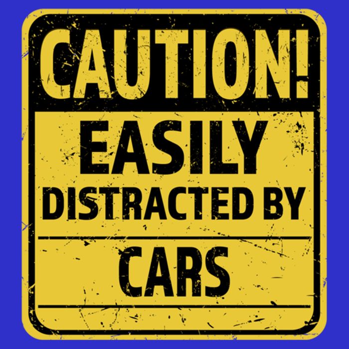 Caution I Like To Talk About Cars Gift Car Lover Gift 16 in Basic Backpack