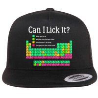 Can I Lick It Periodic Table Teacher Flat Bill Trucker Hat