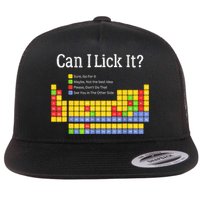 Can I Lick It Periodic Table Teacher Student  Flat Bill Trucker Hat