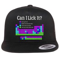 Can I Lick It Periodic Table Teacher Student Flat Bill Trucker Hat
