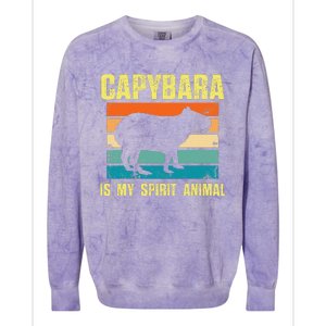 Capybara Is My Spirit Animal Capybara Colorblast Crewneck Sweatshirt