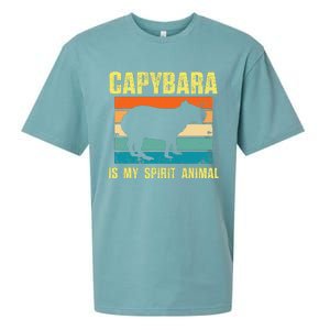 Capybara Is My Spirit Animal Capybara Sueded Cloud Jersey T-Shirt