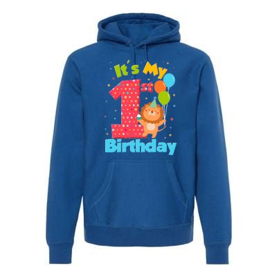 Cute It's My First 1st Birthday Premium Hoodie