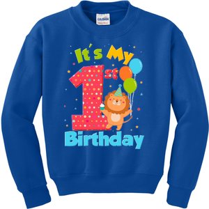 Cute It's My First 1st Birthday Kids Sweatshirt