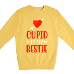 Cupid Is My Bestie Funny Cupid Enthusiast Valentine Love Great Gift Premium Crewneck Sweatshirt