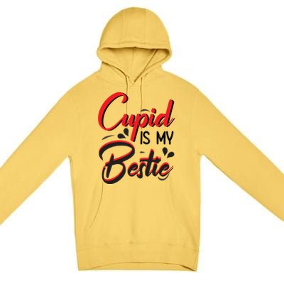 Cupid Is My Bestie Cupid Valentine's Day Costume Funny Gift Premium Pullover Hoodie