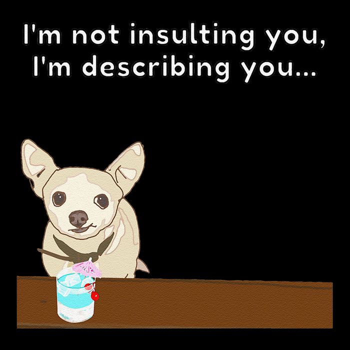 Chihuahua “I’M Not Insulting You…” Insult Graphic 16 in Basic Backpack