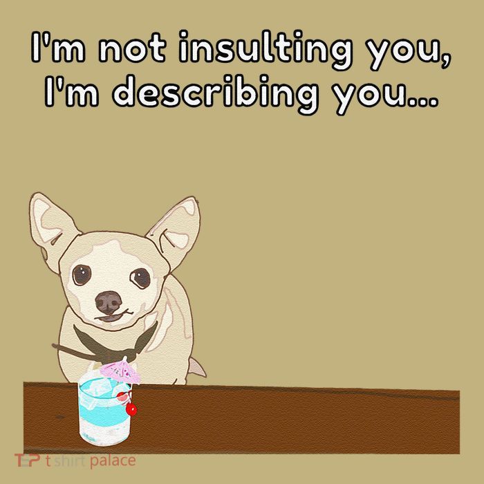 Chihuahua “I’M Not Insulting You…” Insult Graphic T-Shirt