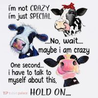 Cow IM Not Crazy IM Just Special Maybe IM Crazy Women's V-Neck T-Shirt