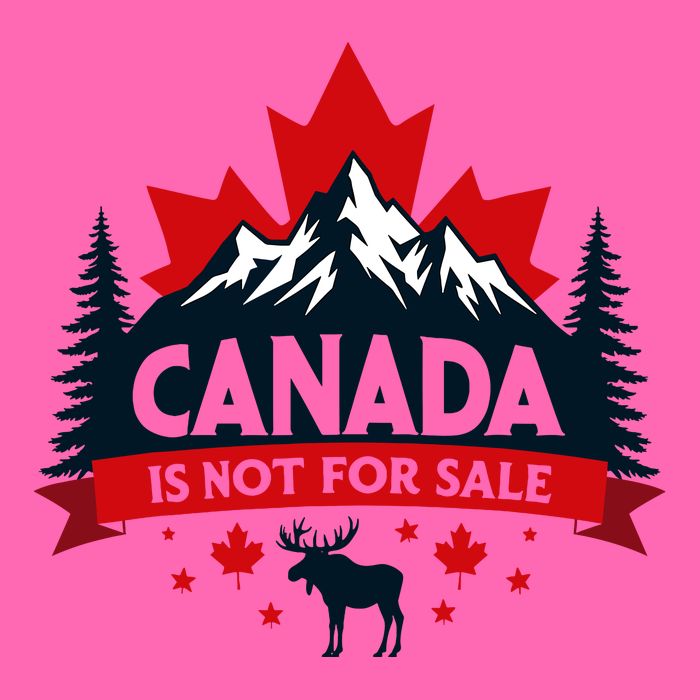 Canada Is Not For Sale Est. 1867 Proud Canadian Stripe Pom Pom Beanie