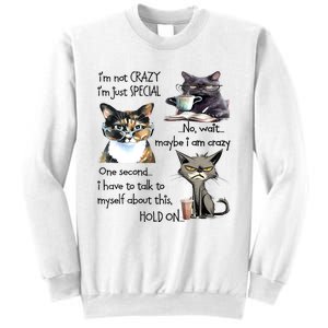 Cats IM Not Crazy IM Just Special Sweatshirt